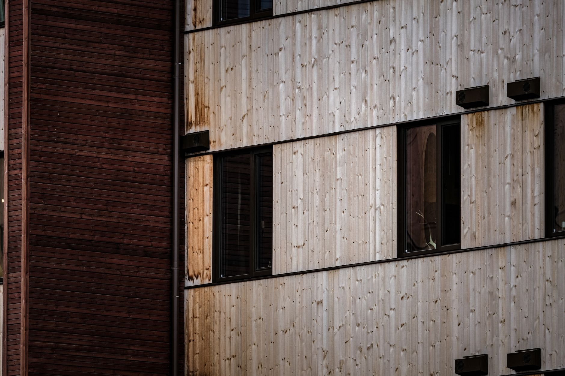 Choosing the Right Siding for Your House: Materials, Benefits, and Maintenance