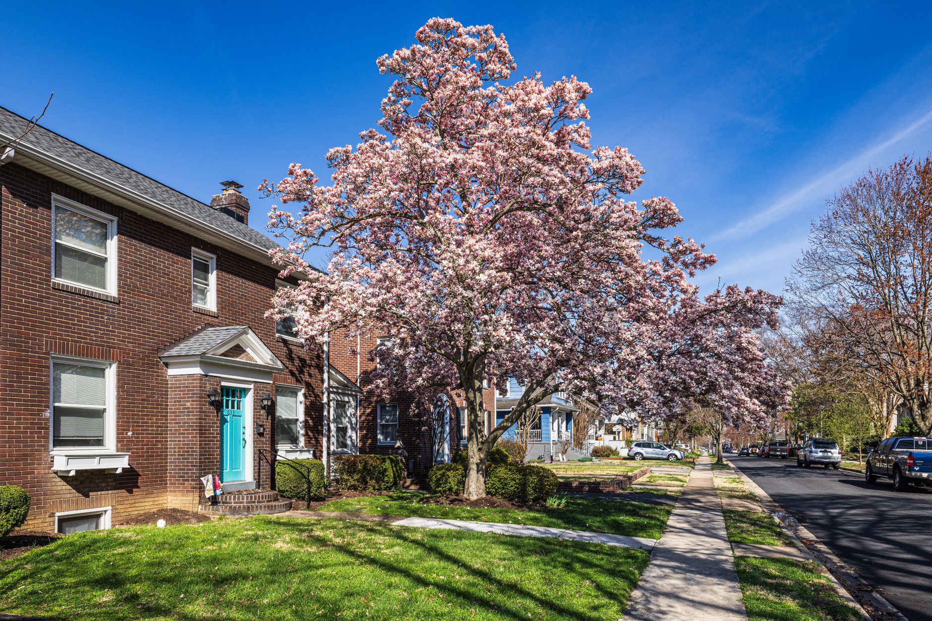 Exploring Magnolia Siding: Benefits and Styles for Your Home Exterior